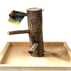 Brinquedo De Madeira Para Aves Poly Play P Toy For Bird