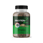 PROTEIN_Z_CRISALIDA_PARA_REPTEIS_50g