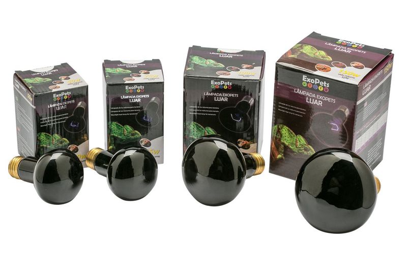 Lampada_De_Aquecimento_Luar_Exopets_50w