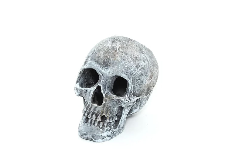 Cranio