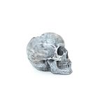 cranio_3