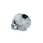 cranio_4