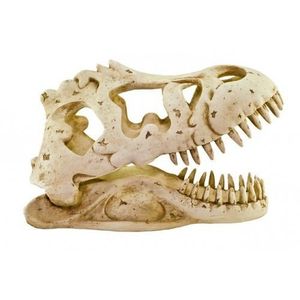 Toca Esqueleto G Cabeça De Tiranossauro Rex Para Gecko e Corn Snake