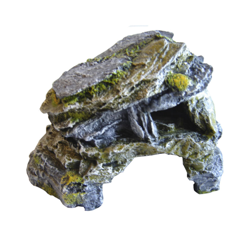 toca_reptil_gecko_aranha2