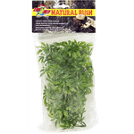 ZOOMED-PLANTA-CANABIS-PQ-BU-16