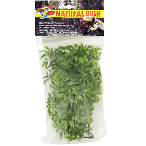 ZOOMED-PLANTA-CANABIS-PQ-BU-16