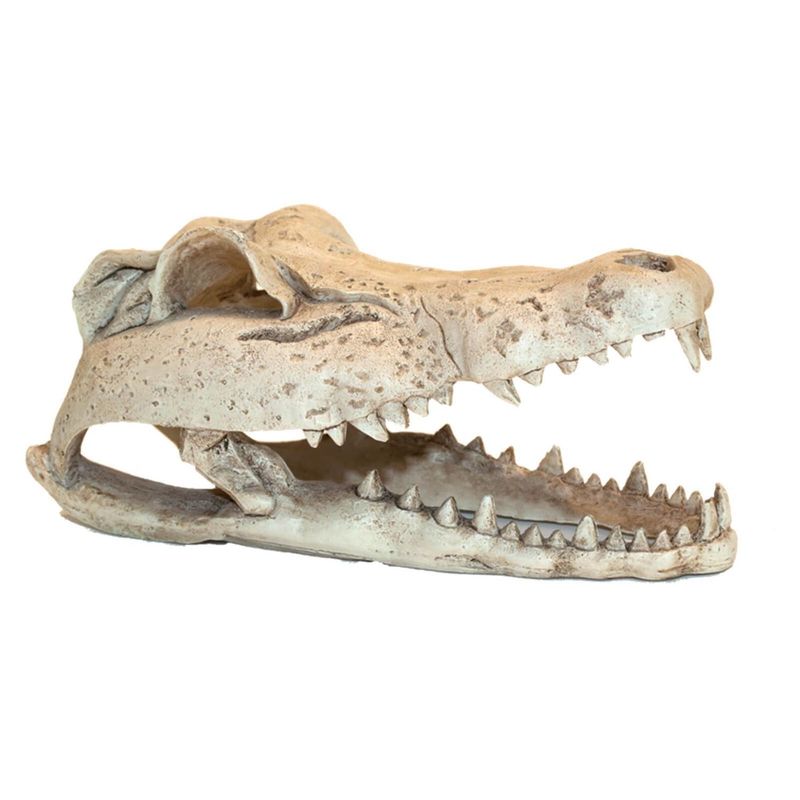 Toca_Em_Resina_Cranio_De_Crocodilo_Grande_Para_Repteis_E_Aracnideos