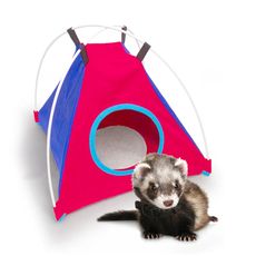 Barraca Toca De Dormir Com Pele Para Ferrets Animalíssimo
