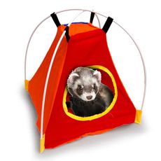Barraca Toca De Dormir Sem Pele Para Ferrets Animalíssimo