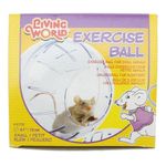 globo_de_exercicio_para_roedores