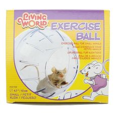 Globo De Acrílico Para Exercício De Roedores