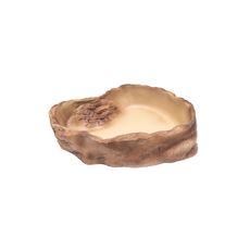 Bebedouro Em Resina Para Répteis Terrestre Pets Tropical GG