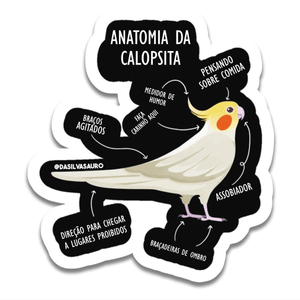 Adesivo Anatomia Da Calopsita