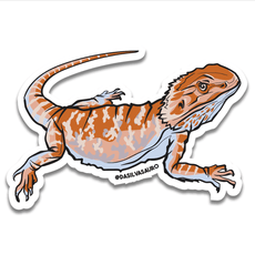 Adesivo Pogona