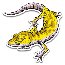 Adesivo Gecko Leopardo