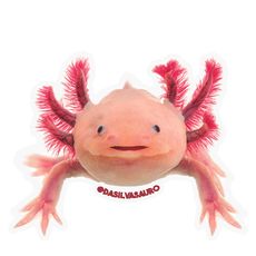 Adesivo Axolote