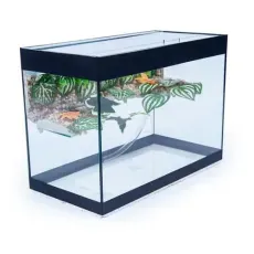 Aquaterrário Com Plataforma para Tigre d'água 40x19x25 - 19Lts / 3mm
