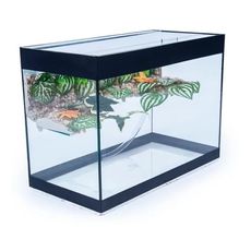 Aquaterrário Com Cachoeira para Tigre d'água 50x25x35 - 43Lts / 4mm