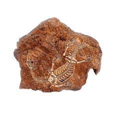 Enfeite De Resina Para Terrários De Répteis Caverna Com Fossil Nomoy Pet